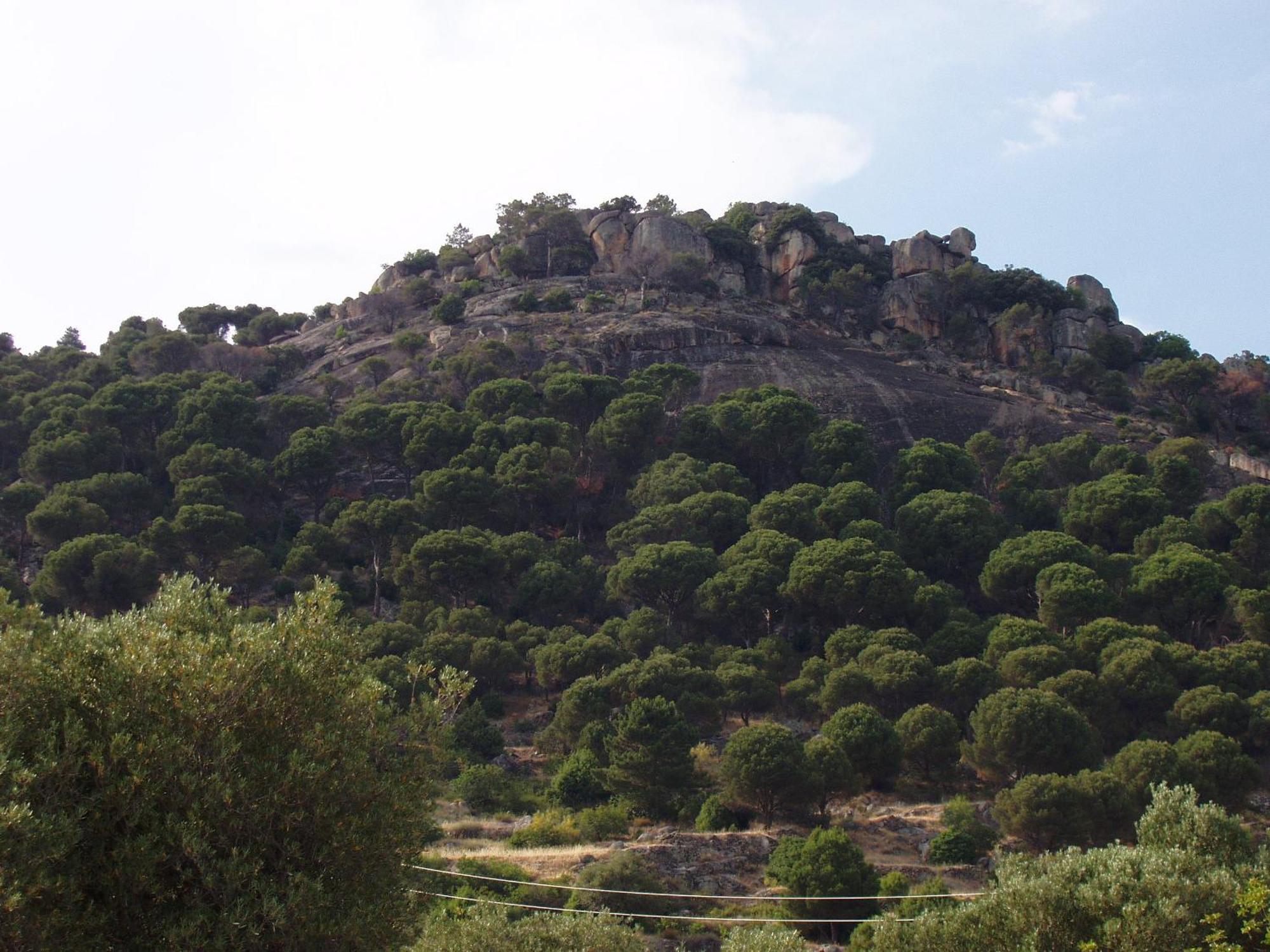 Hotel El Castrejon Cebreros Dış mekan fotoğraf
