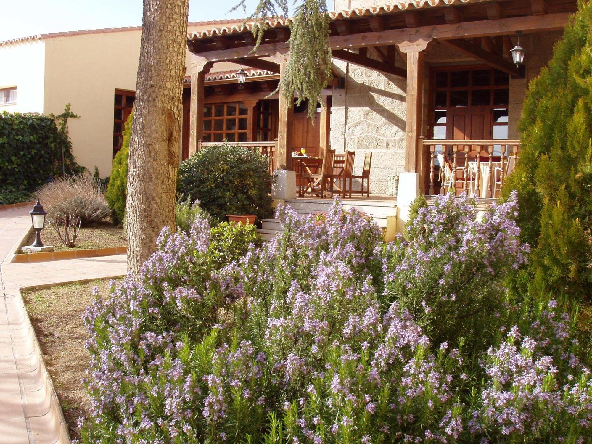 Hotel El Castrejon Cebreros Dış mekan fotoğraf